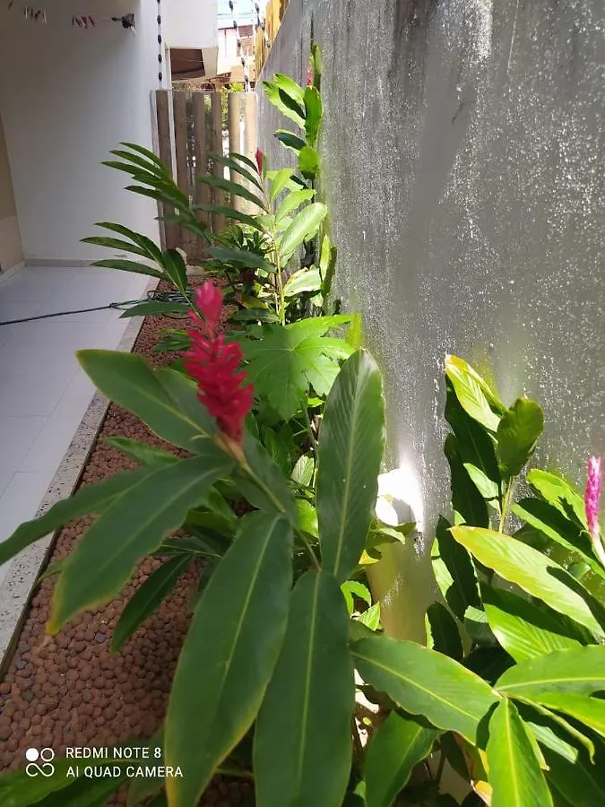 Confortavel Apartamento De 2 Quartos Para 5 Pessoas, Totalmente Mobiliado, Com Wifi E Netflix, Localizado A Uma Quadra Do Calcadao Da Praia De Ponta Neg,Ra, Predio Com Piscina, Churrasqueira E Portaria Virtual E Eletronica 24 Horas Daire Natal Brezilya